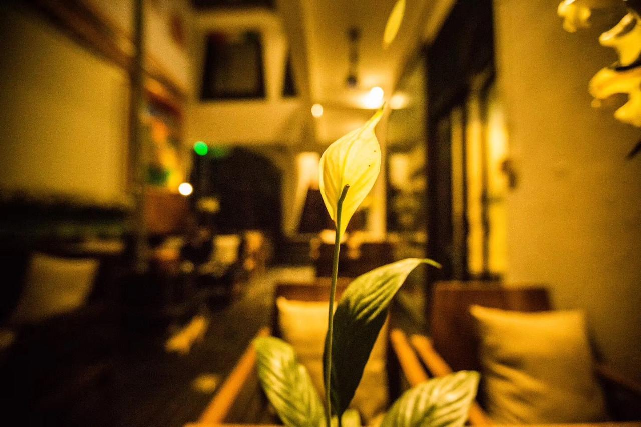 Energy Space Healing Inn شانغريلا المظهر الخارجي الصورة